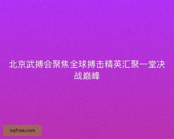 北京武搏会聚焦全球搏击精英汇聚一堂决战巅峰